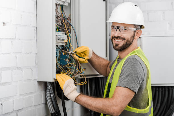 Best Licensed Electrician  in Thief River Falls, MN