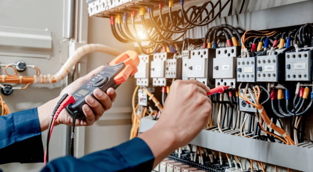Best Electrical Repair Services  in Thief River Falls, MN